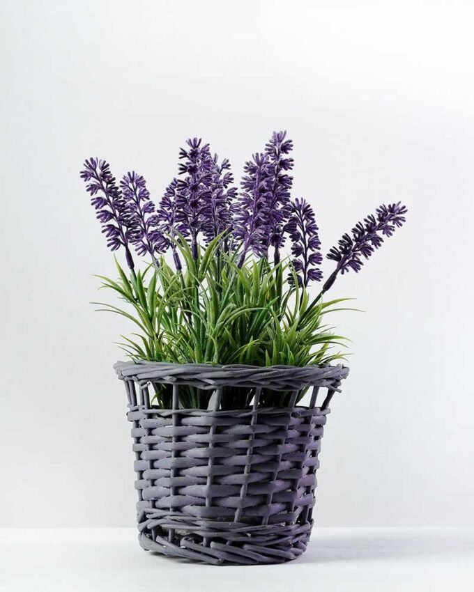 lavender in basket H:9" GS-0338282SF