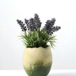 LAVENDER IN PAPER POT H:9" GS-0338447
