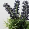 14CM LAVENDER IN PAPER POT GS-0338451