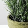 LAVENDER IN PAPERT POT  GS-0338467SFJ