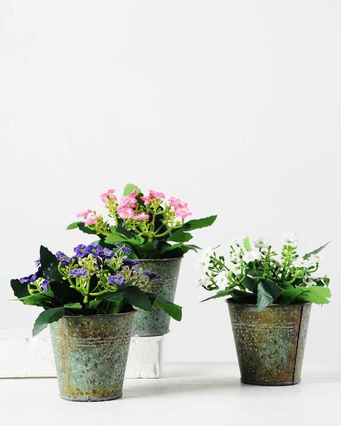 14cm minlan in iron pot GS-0338529