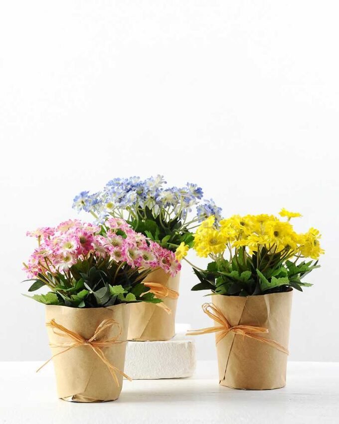 FLOWERS WRAPPED WITH PAPER GS-0338633