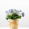 FLOWERS WRAPPED WITH PAPER GS-0338633