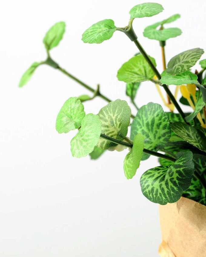 LEAVES WRAPPED WITH PAPER GS-0338639