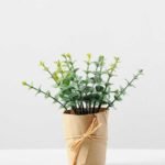 GRASS WRAPPED WITH PAPER GS-0338759