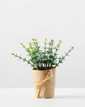 GRASS WRAPPED WITH PAPER GS-0338759