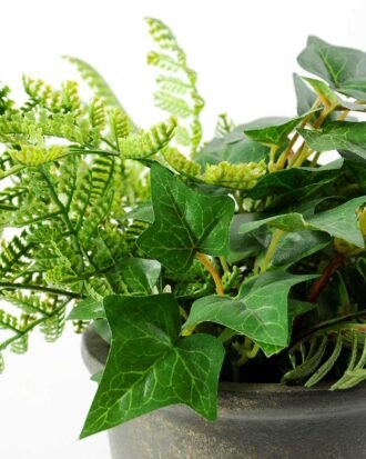 FERN POTTED GS-0338806