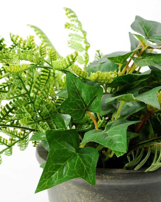 FERN POTTED GS-0338806