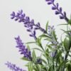 POTTED LAVENDER GS-0338808