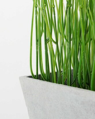 paper potted grass H:11.5" GS-0338850