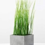 paper potted grass GS-0338851