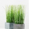 paper potted grass GS-0338851 4 paper potted grass GS-0338851