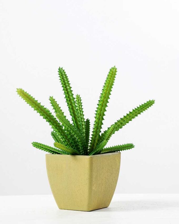 paper pot succulent H:7.25" GS-0338856
