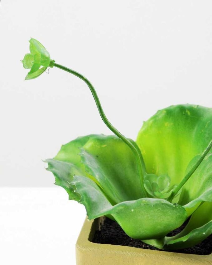 paper pot succulent H:8 paper pot succulent H:8.5" GS-0338857