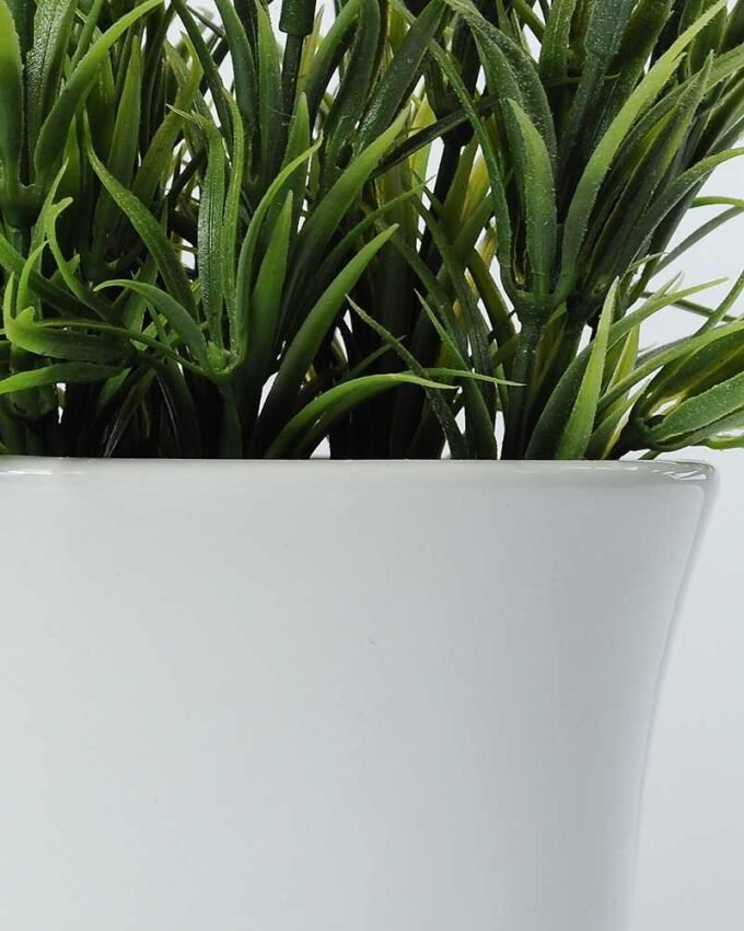 potted ceramic lavender GS-0338869