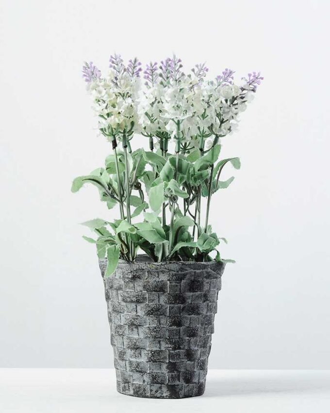 paper potted lavender H:11.5" GS-0338894