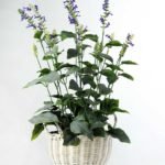 basket  lavender H:21" GS-0338942