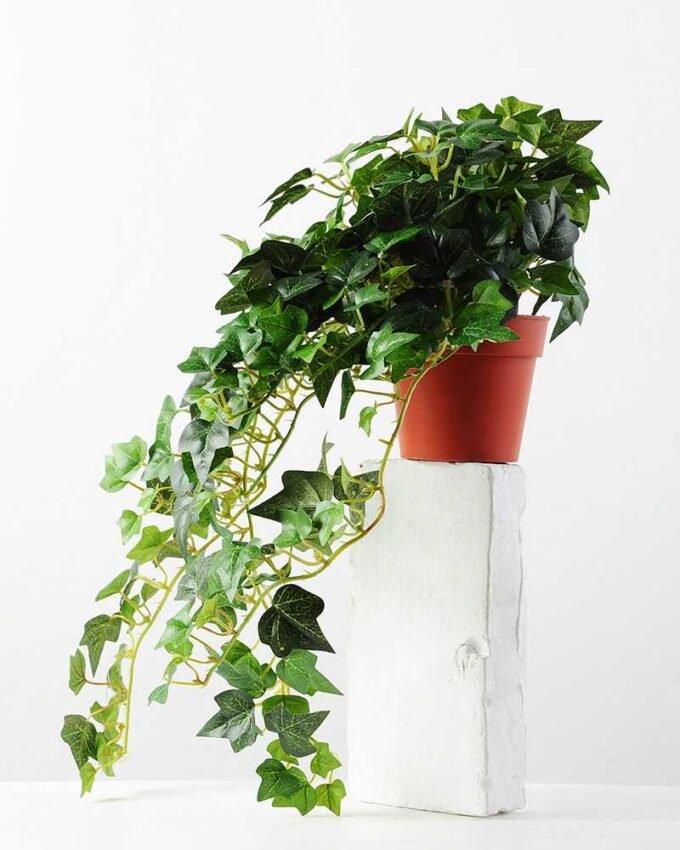 H:23CM Ivy garland in plastic pot GS-0338958I6P48