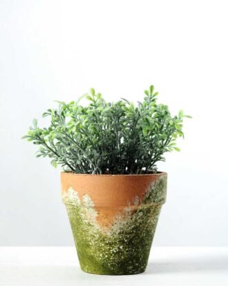 Flocky Water Weed Potted H:6.5″ GS-0338996I6P48 Potted Flowers&Plants YeahFlower is one of Chinese leading OEM manufacturers and exporters , supplying the silk flowers, wholesale artificial trees Flocky Water Weed Potted H:6.5" GS-0338996I6P48