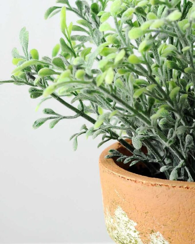 Flocky Water Weed Potted H:6.5" GS-0338996I6P48