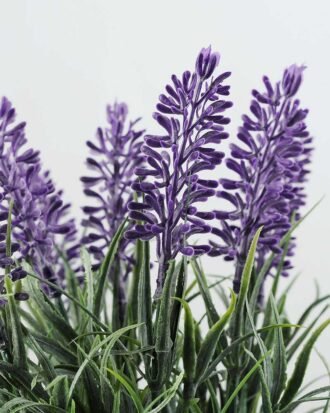 9"Lavender Iron Potted GS-0339025I4P24