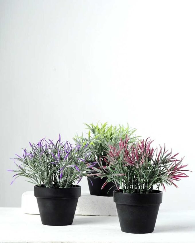 MINI GRASS IN PLASTIC POT GS-0339126 3 MINI GRASS IN PLASTIC POT GS-0339126