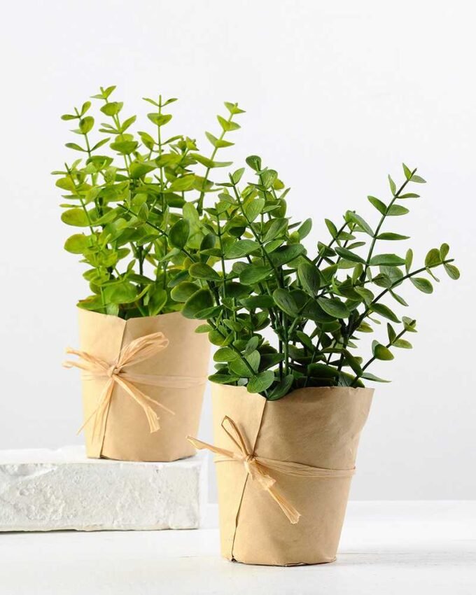 7.5"PLASTIC GRASS IN PAPER POT GS-0339158P12P72