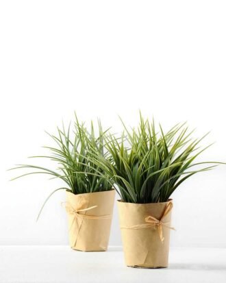 SINGLE PLASTIC GRASS POTTED GS-0339162P12P72
