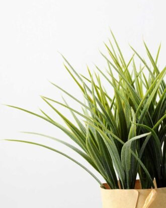 SINGLE PLASTIC GRASS POTTED GS-0339162P12P72