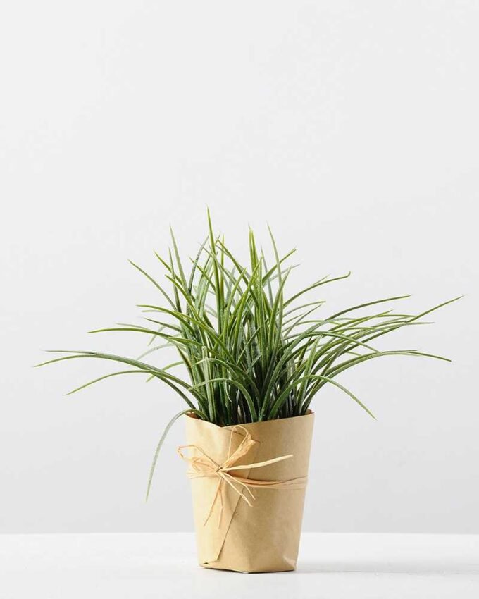 SINGLE PLASTIC GRASS POTTED GS-0339162P12P72