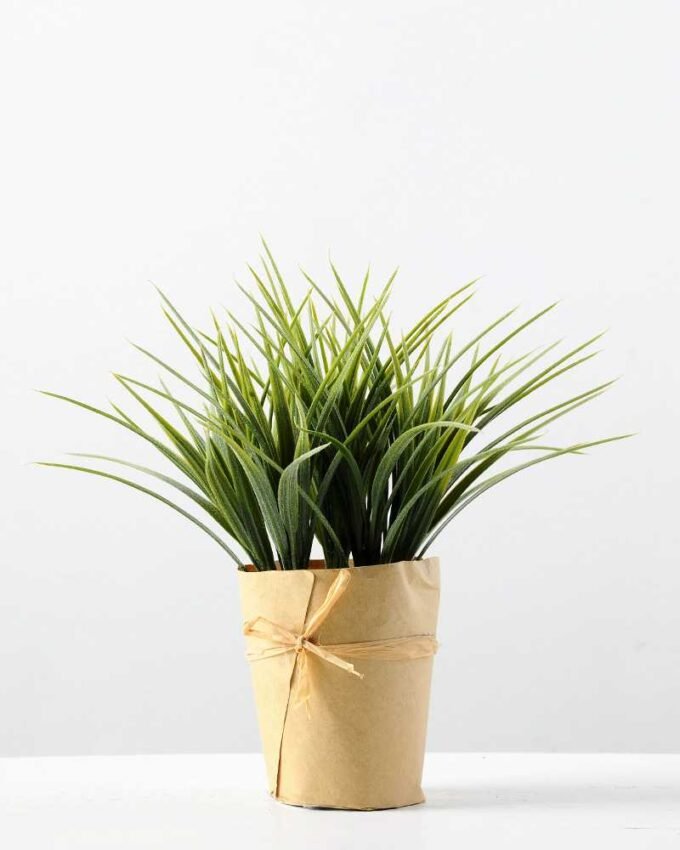 SINGLE PLASTIC GRASS POTTED GS-0339162P12P72