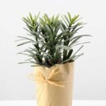 Plastic grass potted GS-0339163P12P72