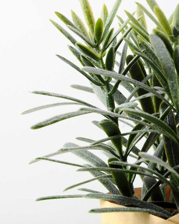 Plastic grass potted GS-0339163P12P72 3 Plastic grass potted GS-0339163P12P72