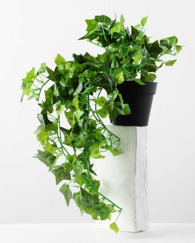 IVY VIN POTTED GS-0339169P6P48