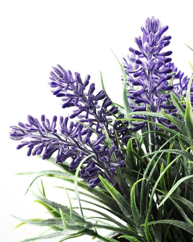 lavender paper potted GS-0339181P12P72