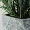 lavender paper potted GS-0339181P12P72