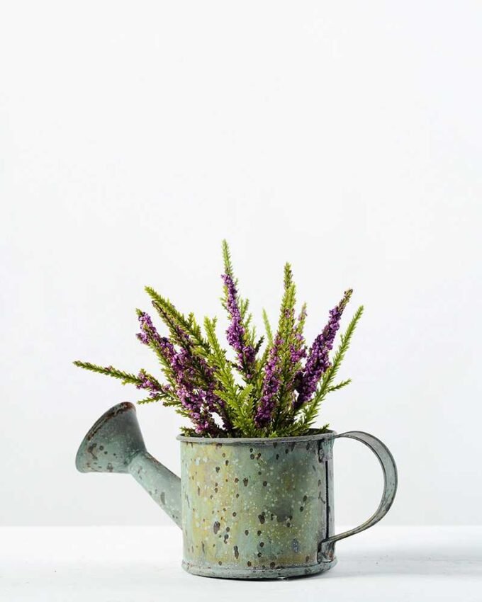 Songcao small kettle Basin