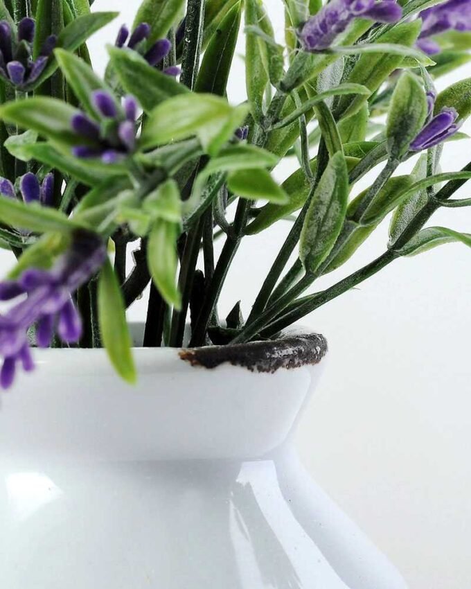 19CM LAVENDER IN CERAMIC POT GS-0339349