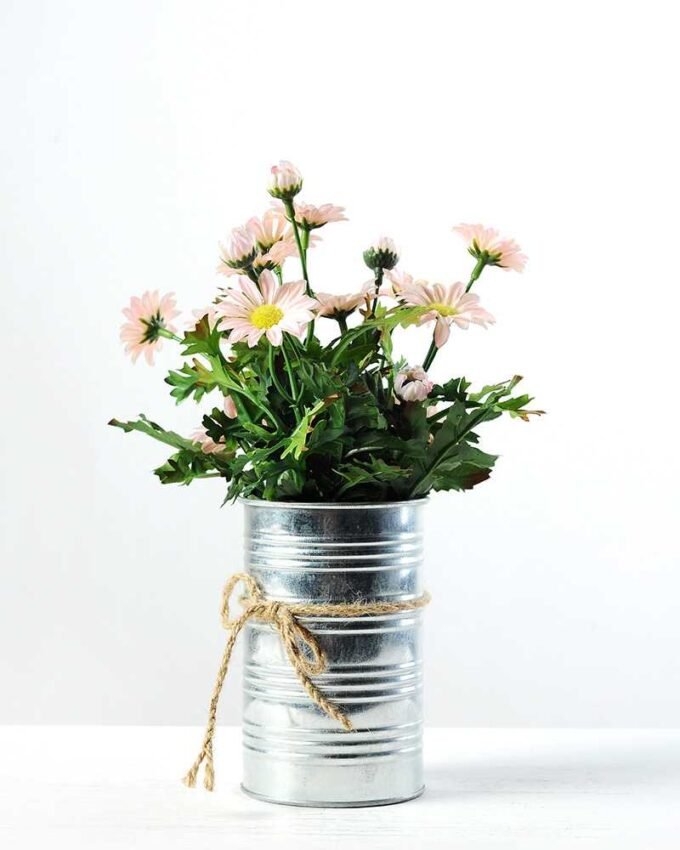 Potted chrysanthemum GS-0339355