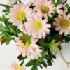 Potted chrysanthemum GS-0339355
