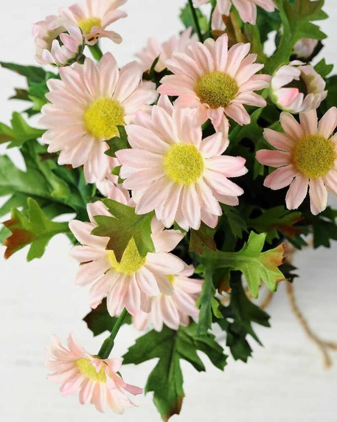 Potted chrysanthemum GS-0339355