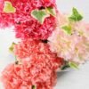 carnation in ceramic pot GS-0339379