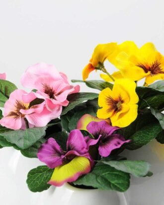 POTTED PANSY  GS-0339381