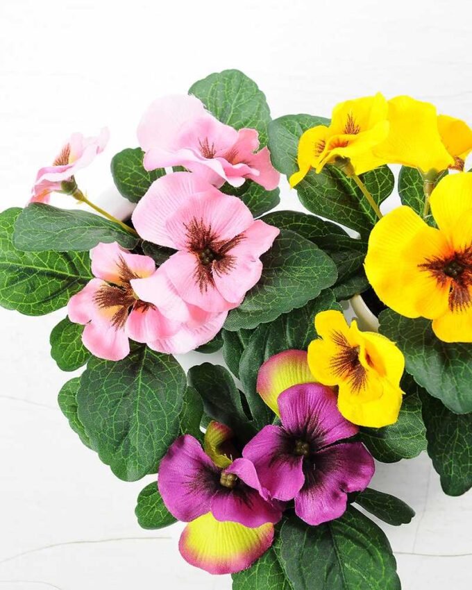 POTTED PANSY  GS-0339381