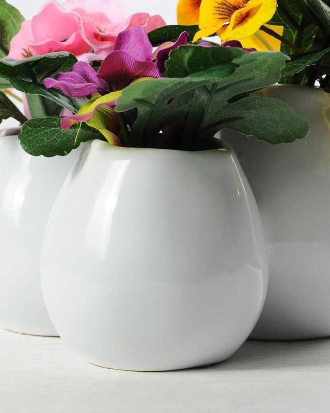 POTTED PANSY  GS-0339381