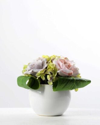 Hydrangea rose  GS-0339389