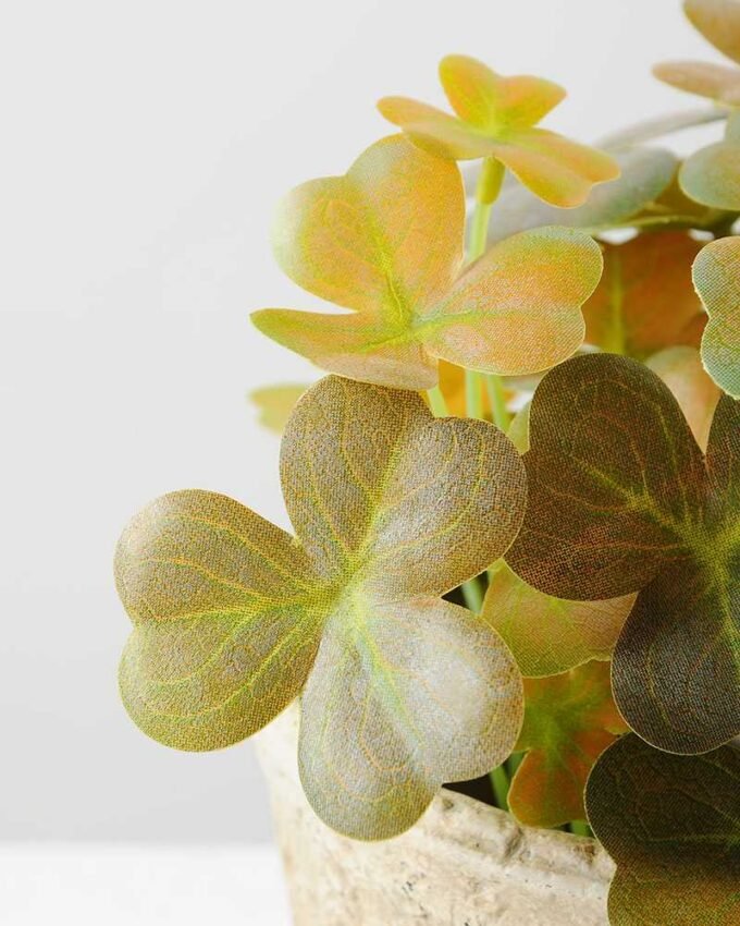 LAVENDER?IN?PAPERT?POT?H:17.15CM GS-0339432