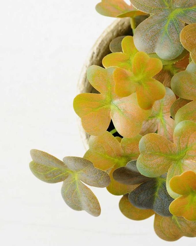 LAVENDER?IN?PAPERT?POT?H:17.15CM GS-0339432