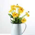 25cm chrysanthemum GS-0339582
