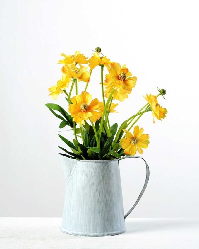 25cm chrysanthemum GS-0339582